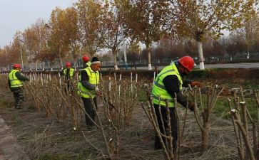 分岗管护工作总结8篇