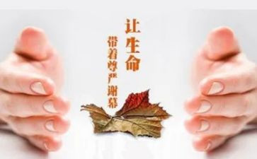 员工关怀活动方案8篇