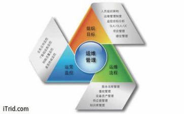 管理调查报告6篇