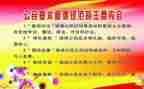 规范字的演讲稿8篇