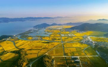 国土局述职述廉报告6篇