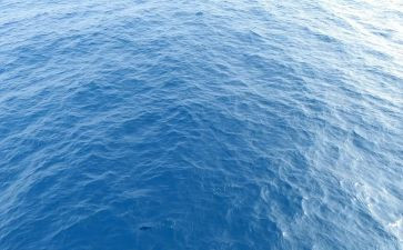 海珠故事演讲稿推荐5篇