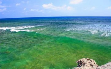 海洋馆的心得6篇