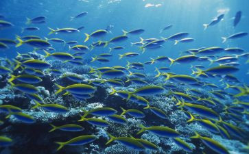 海底两万里10读后感最新8篇