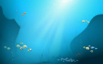 海底两万里10读后感模板7篇