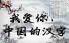 传承汉字的作文6篇