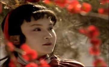 红楼梦的主读后感500字6篇