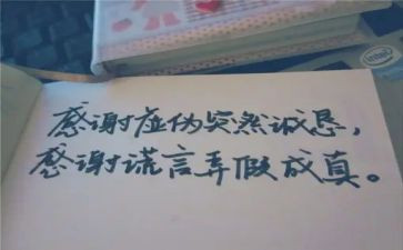 母爱的谎言作文模板7篇