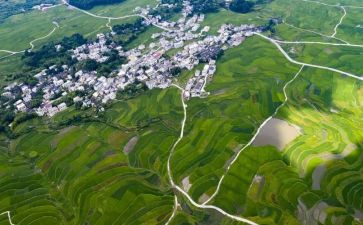 环境调查小报告作文推荐7篇