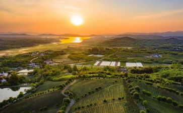 环境调查小报告作文通用8篇