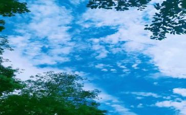 我回忆的童年作文优质8篇