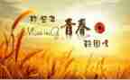 暑假回忆作文5篇