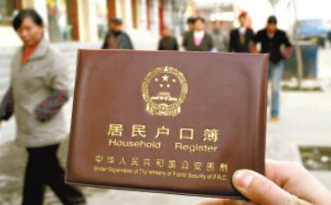 2024年户籍员工作总结8篇