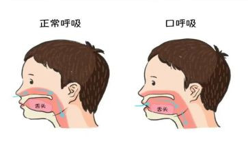 呼吸内科的自我鉴定推荐8篇