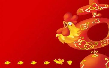 我想养只鸡作文精选7篇