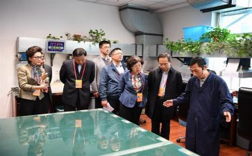 监委会总结报告6篇