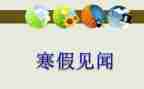 我的见闻大作文8篇