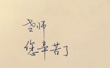 教师年度总结工作总结精选8篇