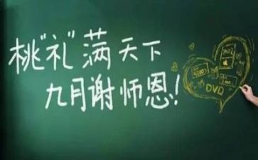 教师个人半年工作总结范文5篇