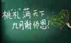 教师个人半年工作总结范文5篇