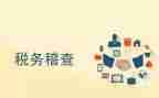 2024年税务稽查工作总结7篇