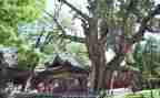 晋祠的教学反思模板7篇
