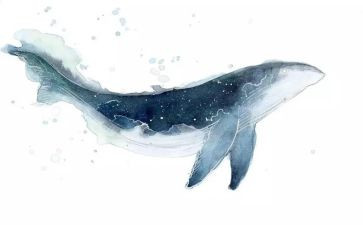 鲸绘画教学反思5篇