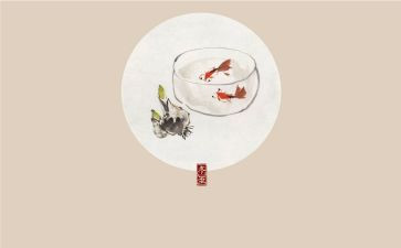 关于节气的作文8篇