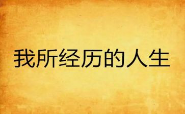 教师经历工作总结6篇