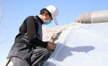 技术员的年度总结模板7篇