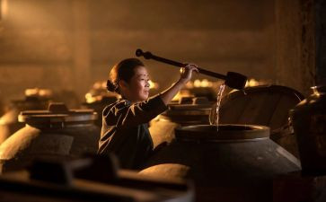 2024年销售酒半年工作总结精选8篇