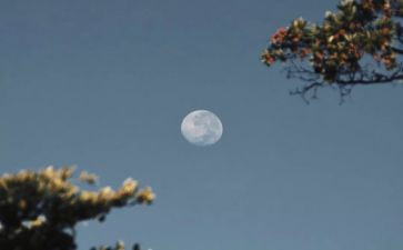 大班九月总结8篇