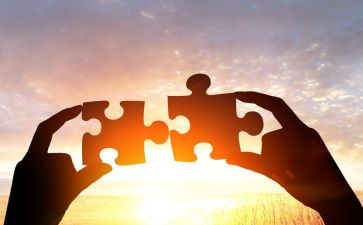 取与舍的抉择作文6篇