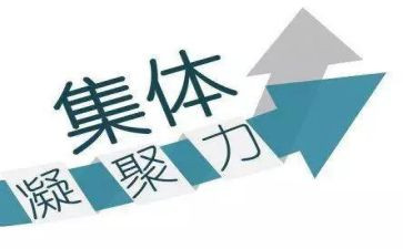 凝聚力的心得优质8篇
