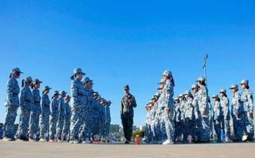 写军训的作文800字5篇