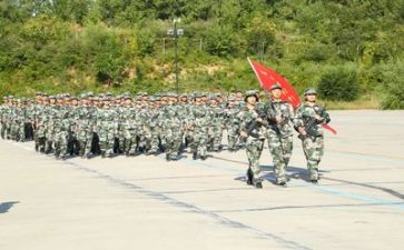 军训8天心得体会7篇