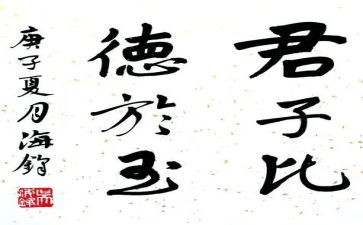 养君子兰的作文最新6篇