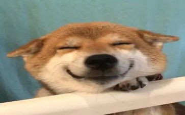 开心的作文模板7篇