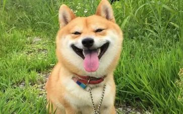 开心的事作文600字5篇