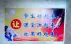 初中语文课改心得体会7篇