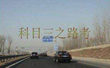小学英语科三年级教学计划最新8篇