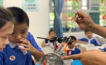 小学科学课心得体会优质8篇