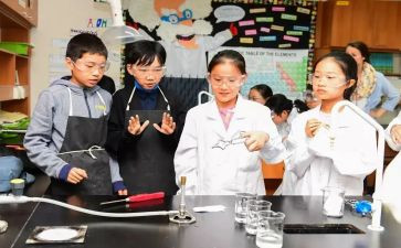 小学科学课工作总结精选6篇