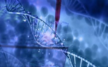 科学类的作文6篇