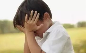 感动到哭作文500字最新5篇