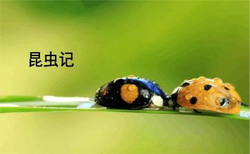 <<昆虫记>>教学反思8篇