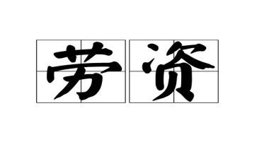 2024年劳资员工作总结5篇