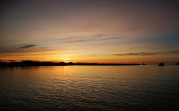 写黎明作文参考7篇