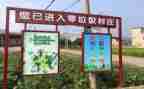 大学生捡垃圾心得8篇