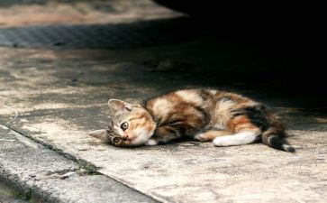 ?w流浪地球读后感参考7篇